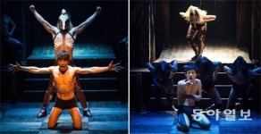 근육질 몸 vs 매끈한 몸