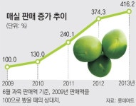 몸값 급등 매실… 先주문땐 깎아드려요