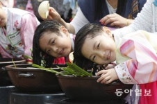 음력 5월5일 단오, 창포물 머리 감기 왜 할까?