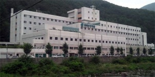 [Narrative Report]78년 한자리… 검은 땅 아픔 보듬는 ‘흰 느티나무’