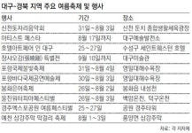 [대구/경북]축제 속으로 풍덩 ‘夏夏好好’