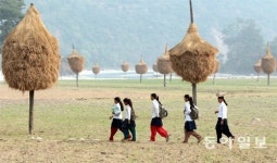 [이훈구 기자의 히말라야 2400㎞]가을걷이 끝난 들판을 건너…