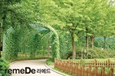 [라메드] 걷고, 호흡하고, 즐기는 ‘도심 속 산책’ 명소 BEST6