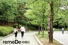 [라메드] 걷고, 호흡하고, 즐기는 ‘도심 속 산책’ 명소 BEST6