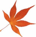 [대전/충남]한밭벌의 가을, 인문학이 익어간다