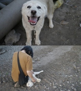 이효리, 제주도 석삼이 이야기 “네 눈빛이 사납게 변해가겠구나”