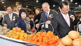 가락시장 서울청과 창립 75주년