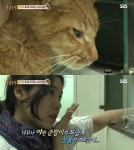 동물농장 배다해, ‘무한애정’으로 거식증 고양이 살려내 “감동”