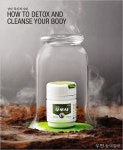 [우먼 동아일보] 남녀 ‘독신’의 시대 ! HOW TO DETOX AND CLEANSE YOUR BODY