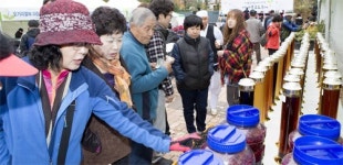 [강원]산야초로 만든 효소 먹어볼까