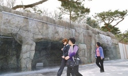 [충북]청주 옛 산성도로, 생태체험 숲길로 재탄생