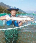 [광주/전남]“반갑다, 섬진강 연어야”