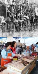 [책의 향기]곰장어-명태에 얽힌 ‘슬픈 사연’ 아시나요