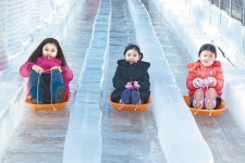 [대구/경북]대구 비슬산 자연휴양림內 무료 얼음동산 개장