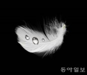 오리털 점퍼 세탁방법… 드라이 클리닝은 보온성 ↓