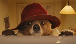 [반짝반짝 전문가 영화 별점]패딩턴 外