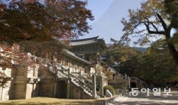 [단독]최연식 동국대 교수 “석굴암은 부처, 불국사는 보살 세계 상징”