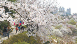 [이철호 기자의 서울 데이트 할까요]미리 가본 서대문구 ‘안산’