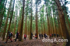 [제주]‘한라산 둘레길’ 20km 남겨두고 중단 위기