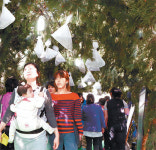 [대구/경북]약초터널 걸으며 힐링