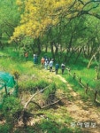 [대전/충남]‘대청호 오백리길’ 아시나요