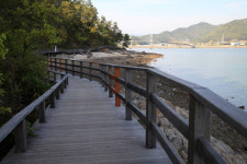 [Healing Travel]‘교통오지’ 강진, 서울서 세시간이면 도착… 남도 봄정취 ‘만끽’
