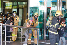 [대구/경북]“진짜가 아닙니다”