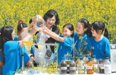 [수도권]유채꽃으로 바이오 연료… “와~신기해요”