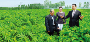 보성삼베섬유주 | 보성삼베섬유㈜ ‘햄프렉스’ 진드기·아토피 걱정 덜어주는 삼베 침구
