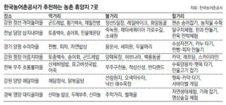 송어잡기 까르르… 아이도 마을도 함께 웃었다