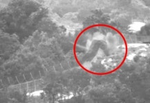軍 “DMZ 목함지뢰 폭발은 북한 소행”…의도적 매설한 명백한 도발? ‘이럴수가’