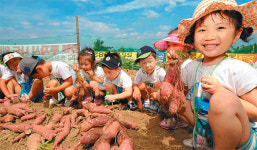 [대구/경북]“자투리땅 활용하자”… 대구 도시농업 기반 구축 활발