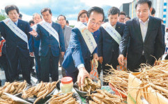 [수도권]“경북을 싸게 팝니다… 놀러오세요”