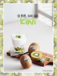 [우먼 동아일보 & 여성동아] 장 튼튼, 슈퍼 푸드 Kiwi