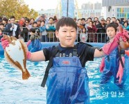 [수도권]“맨손으로 잡았어요”… 노량진 수산시장 바다축제