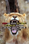 [카드뉴스] 사내 게시판?…‘마녀사냥’ 게시판