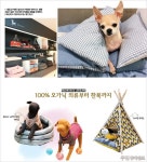 [우먼 동아일보 & 여성동아] 또 하나의 가족! 반려동물을 위한 작은 사치