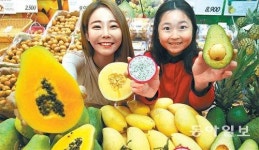 새콤 달콤… 열대과일 맛보세요