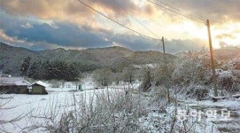 [농부 박인호의 전원생활 가이드]시련의 겨울, 피하지 말고 즐겨라