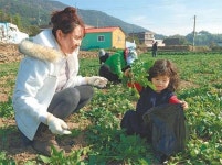 [농촌 체험 휴양마을] 겨울 체험하기 좋은 우수농촌체험마을