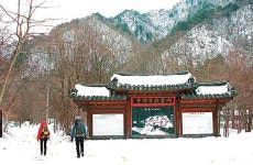 [농촌 체험 휴양마을] 겨울 체험하기 좋은 우수농촌체험마을