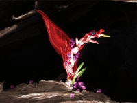 복돼지가 활짝 웃고 있네요, 대식세포 속에서