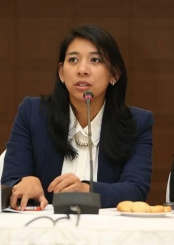 이자스민 의원 논란, 학력위조부터 게임까지…