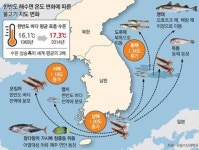서해에 나타난 멸치, 독도까지 올라간 옥돔