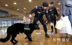 ‘전국 공항에 폭발물 협박’ 범인 목소리, 남성 아닌 ‘女기계음’?
