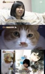 ‘동물농장’ 선우선 첫 반려묘 건강이, 피부병에 유기된 아픔? 사연 들어보니…‘울컥’