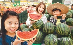 함안産 하우스 수박 출시