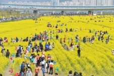[부산의 미래, 낙동강시대]사람과 자연이 공존하는 ‘명품 생태공원’