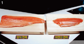 무한 리필 연어의 함정! 김진 기자의 먹거리 XX파일
