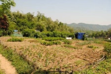 [화제의 분양현장]저금리시대 투자자의 선택? 그린벨트 해제지역 하남 토지!